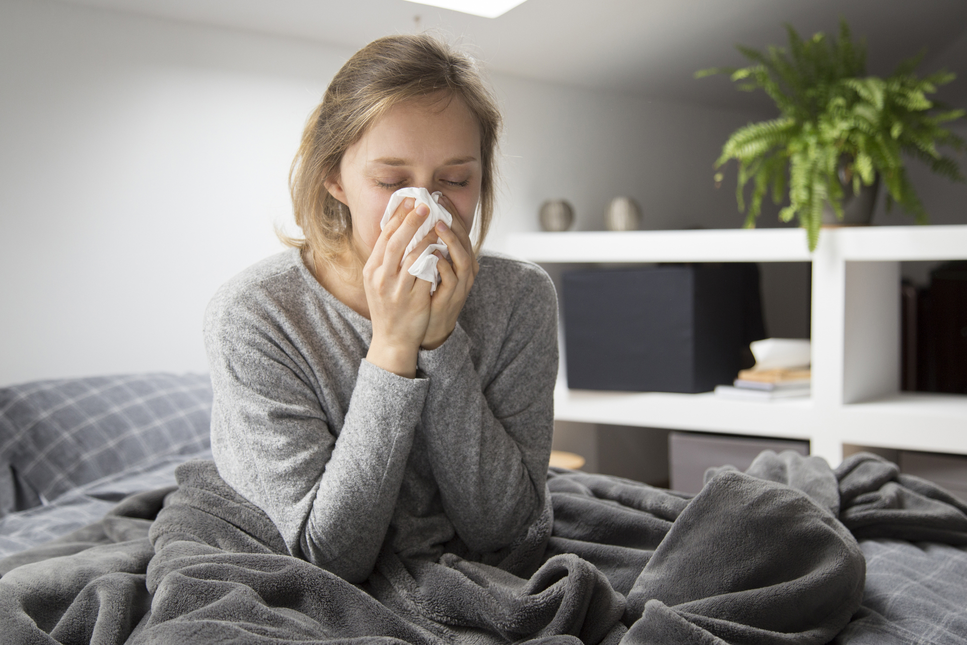 Sick young Caucasian woman covered with grey blanket sitting on bed with closed eyes, blowing nose with napkin. Illness, pain concept